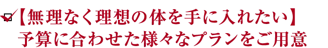 【無理なく理想の体を手に入れたい】予算に合わせた様々なプランをご用意
