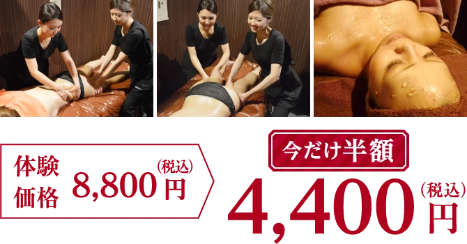 今だけ半額4,400円（税込）