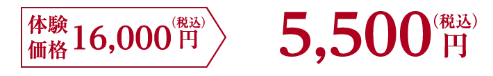 【体験価格5,500円（税込）】3,300円（税込）